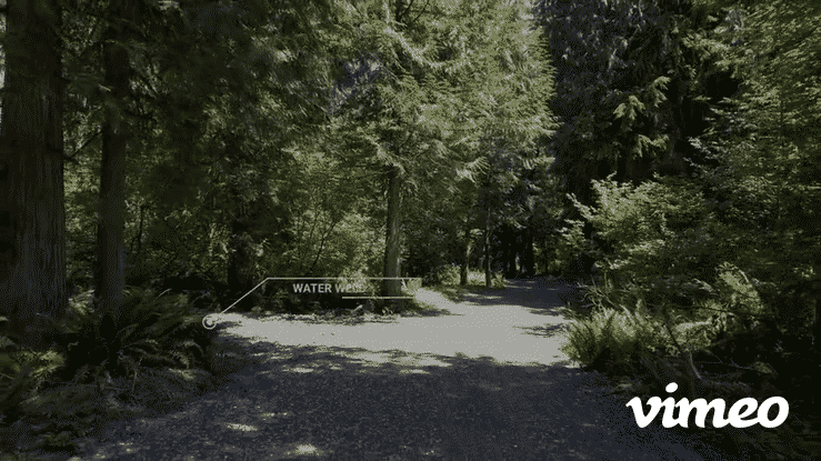 gif of wooded path with sunlight